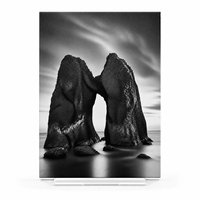 Impression sur toile personnalisée de paysage, art mural résistant à la décoloration, décoration photographique noir et blanc pour galerie