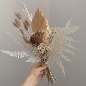 Conserve pteridofita Color argento dorato fuochi d'artificio piante fiori secchi per il nuovo anno di natale matrimonio san valentino - Product Image 6