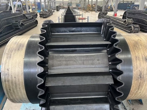 Sơn Đông lốp băng tải với một góc nghiêng lớn - Product Image 2