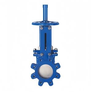 Vanne à opercule manuelle en acier inoxydable à joint rigide, vanne pour eau et boues, à double <span class=keywords><strong>bride</strong></span>, en acier moulé, taille de port 50 - Product Image 2