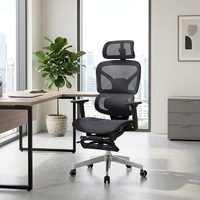 Chaise de bureau ergonomique moderne pivotante en maille avec support lombaire de luxe et repose-pieds, fauteuil inclinable en plastique