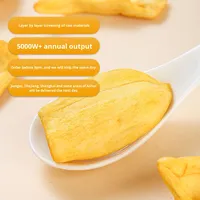 Gedroogde Jackfruit Fruit Snacks 500g Bulkverpakking Anhui Fabrikant 12 Maanden Houdbaarheid Groothandel Verzending