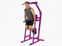 Machine à Squat Professionnelle à Charge de Plaques en Acier pour Entraînement des Cuisses, Équipement de Musculation Commercial pour Salle de Sport, Fourniture Directe d'Usine en Gros