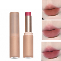 Gloss à lèvres velours Fab Mist intégré, teinte double usage lèvres et joues, pour distribution mondiale à niveaux et exportation mondiale