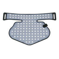 Masque de luminothérapie LED intelligent à commande vocale, minuterie 10, 20, 30 min, contrôleur sans fil, soin de la peau, appareil de luminothérapie rouge