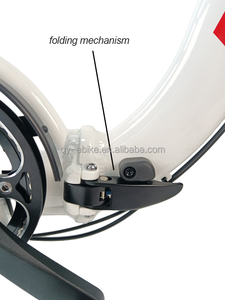 Triciclo Plegable de Alta Calidad de 20 Pulgadas con Batería Extraíble, Bicicleta de 3 Ruedas, Triciclo Eléctrico para la Familia - Product Image 6