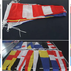 Bandera <span class=keywords><strong>de</strong></span> señal internacional, carta Q, 100% poliéster, no está infectada, por favor, emite un certificado <span class=keywords><strong>de</strong></span> importación y quaranine - Product Image 4