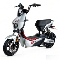 Vélo électrique Model X Man 1000W 60V, corps robuste, style Kiwo, longue autonomie, fabriqué en Chine, meilleur prix, Bicicleta Electrica