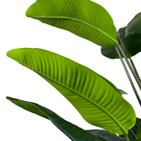 Bonsaï artificiel de bananier du voyageur de 160 cm, toucher naturel de haute qualité, pour la décoration intérieure de la maison et du bureau