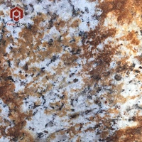 PAIA STONE Verniz Tropical Granite Dalle de pierre naturelle polie, flammée, fendue, affinée, brossée, sablée, design moderne pour hôtel