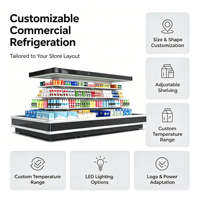 Vitrine réfrigérée commerciale double face à refroidissement par air, dégivrage automatique, pour supermarché