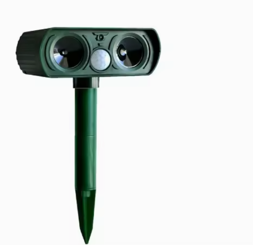 Green01