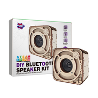 Kit d'apprentissage ODM/OEM BIG BANG SCIENCE, fabricant de kits DIY d'enceintes Bluetooth en bois, cadeau de bureau d'entreprise original