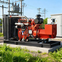 Tianfa TF-1000YC 1000KW Wassergekühlter Biomasse-Gas Biogas Erdgas Synthesegas Generator 230V/400V Automatischer Start LPG
