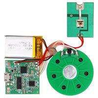 Personnaliser Programmable Enregistrable Glisser Langue Puce Musique Module de Son Pour Carte de Voeux Pour Cadeau Artisanat Jouet