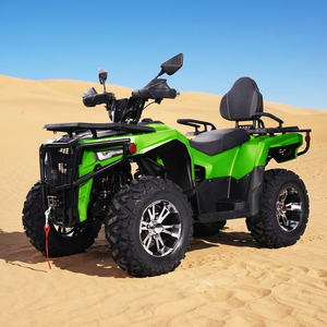 Buggy UTV de 300cc, 4 Tiempos, 4x2, Diésel, con Suspensión Independiente, para Montaña y Pistas Escénicas - Product Image 3