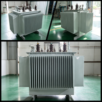Transformateur immergé dans l'huile 11kV 33kV pour parc industriel, triphasé, type de distribution abaisseur, alimentation 100kVA-1600kVA, IEC 60076