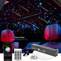 Lampe à étoiles filantes à fibre optique pour plafond, ciel étoilé, lumière de météore à fibre optique pour voiture étoilée