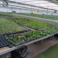 Serres agricoles multi-travées Hangdi Hebei en treillis métallique avec bancs roulants à flux et reflux en alliage d'aluminium pour légumes et fruits