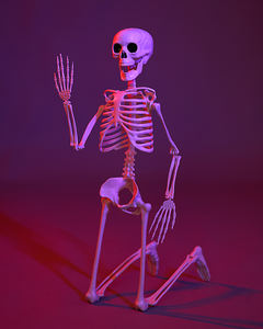 Décoration d'Halloween, squelette réaliste grandeur nature en plastique, effrayant pour fête d'Halloween - Product Image 3