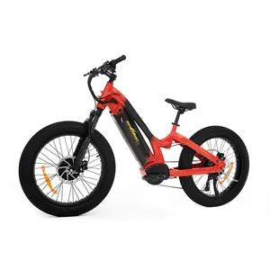 Hot Kenda Fat Tire Bicicleta Electrica Shimano 1000w Dual Motor Bafang Ebike 48v Electric Beach Cruiser Torque Sensor E Bicycle