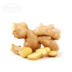 Agriculture Of Wholesale Export Chinese Fresh Ginger Root Price