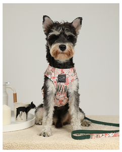 Cotton Comfortable Fashion <b>Dog</b> Harness Cat Harness Cute Fashion Adjustable Cute Buckle Closure for Small Size <b>Dogs</b> and Cats OEM - Product Image 4