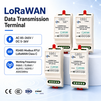 HEYUAN Convertidor RS485 a Lora Módulo inalámbrico y RF Convierte RS485 a Lorawan