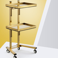 Support de plateau de tatouage pliable de beauté médicale Spa chariot utilitaire en acier inoxydable chariot à cils pour esthéticienne