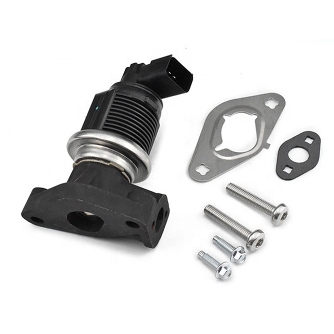 Auto Engine EGR Valve Assy Seal