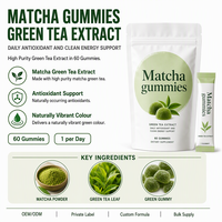 Gummies au matcha de haute qualité, thé vert pur, emballage personnalisé, étiquetage privé, service OEM ODM, certifié HACCP NSF GMP ISO