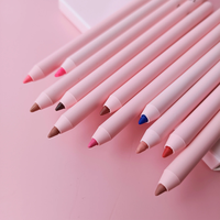 Nouveautés Crayon à lèvres mat OEM Multicolores Imperméable Vegan Crayon à lèvres mat Crayon à lèvres à label privé Facile à colorer Crayon à lèvres crème