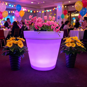 Pot de fleurs rechargeable <span class=keywords><strong>à</strong></span> énergie solaire, écologique, en plastique durable, revêtement PE, pour jardin, hôtel, <span class=keywords><strong>d</strong></span>écoration, vase <span class=keywords><strong>à</strong></span> fleurs, jardinières - Product Image 2