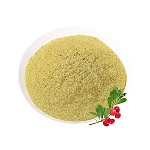 Pure Bearberry Leaf Powder Bulk Uva Ursi Leaves Powder para suplementos cosméticos y sanitarios