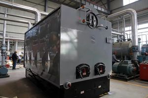 דוד קיטור ביומסה תעשייתי אופקי עם צינורות מים, מונע בשבבי עץ וחסכוני באנרגיה, עם הפעלה ידנית, לייצור חום בבתי מלון - Product Image 3