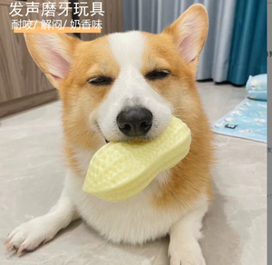 ของเล่นสุนัขส่งเสียงได้ของเล่นเคี้ยวถั่วหลากสีตลกๆสำหรับสัตว์เลี้ยงทำจากยางที่ยั่งยืน - Product Image 4