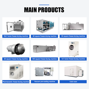 เครื่องเป่าแช่แข็งสุญญากาศเครื่องอบแห้งแช่แข็งผักและผลไม้ - Product Image 5