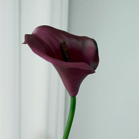 Buket Bunga Calla Lily Buatan PVC Realistis, Desain Floral Modern Buatan Tangan untuk Dekorasi Rumah & Pernikahan - Tahan Lama & Ramah Lingkungan
