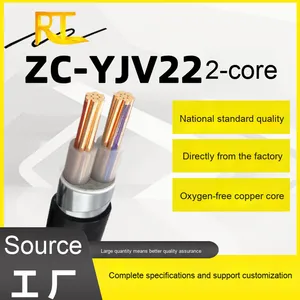 สายเคเบิลหุ้มเกราะทองแดง 2 แกน รุ่น ZC-YJV22 มาตรฐานแห่งชาติ ฉนวนพีวีซี แรงดันต่ำ สำหรับเดินสายใต้ดิน ขนาด 6 10 25 50 75 95 ตารางมิลลิเมตร YJV - Product Image 3