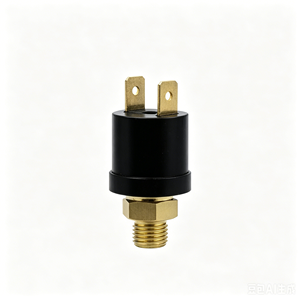 Pressostat pour eau, pressostat pour air, pressostat pour hydraulique, pressostat pour vide, réglable - Product Image 2