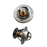 Régulateur de thermostat 115-4223 126-5869 249-5541 306-2103 pour moteur CAT 320B N 322A 324D 325L 329D 3116 3204 3126B 3126E C7 C9