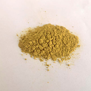 Vendita di Fabbrica Polvere di Pectina di Mela Naturale Biologica Estratto di Mela di Alta Qualità Miglior Prezzo Gratuito - Product Image 1