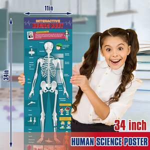 Modelo de Cuerpo Humano para Proyectos de Aprendizaje de Ciencias, Regalo de Anatomía, Juego de Enseñanza de Torso, Silicona y PVC para Niños - Product Image 5