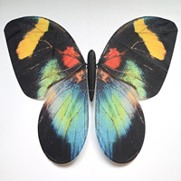 Juguete de Mariposa RC JIN PENG con Luces LED que Cambian de Color y Alas Móviles para Decoración de Bodas