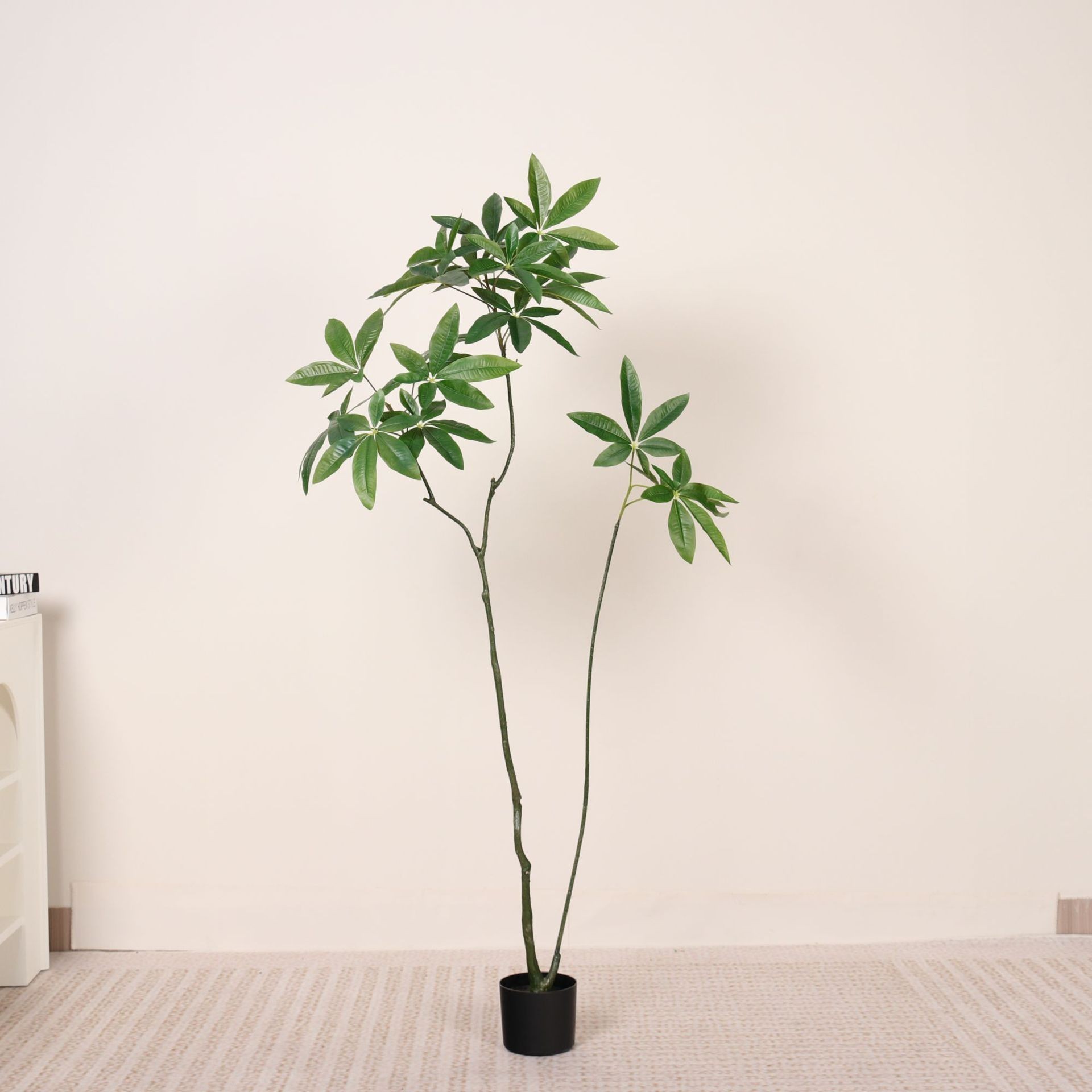 Arbre à argent (160 cm)