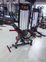 Équipement de gymnastique Pin Loaded Selection Strength Training Heavy-Duty Back Extension Machine for Professional Club
