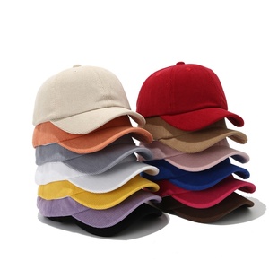 Tùy chỉnh bán buôn cổ điển 3D thêu in Terry vải 6-panel unisex ngoài trời giản dị nhung Mũ bóng chày - Product Image 2