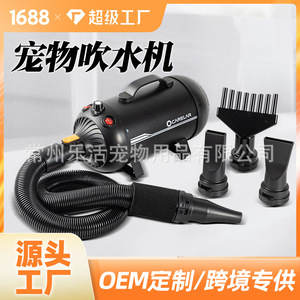 เครื่องเป่าขนสัตว์เลี้ยง Carelar พร้อมสายฉนวนกันความร้อนขนาด 4.5 มม. อุปกรณ์กรูมมิ่งระดับมืออาชีพ - Product Image 3