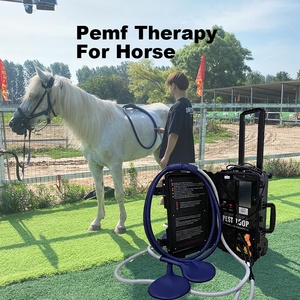 Máquina PEMF de Alta Potencia para Caballos con Doble Control para Relajar los Músculos Tensados y Mejorar el Confort Físico - Product Image 1