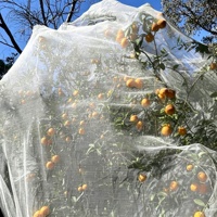 Filet agricole anti-UV 40 mailles, filet anti-insectes pour serre, protection contre les parasites des légumes, filet de protection pour les cultures et les arbres fruitiers
